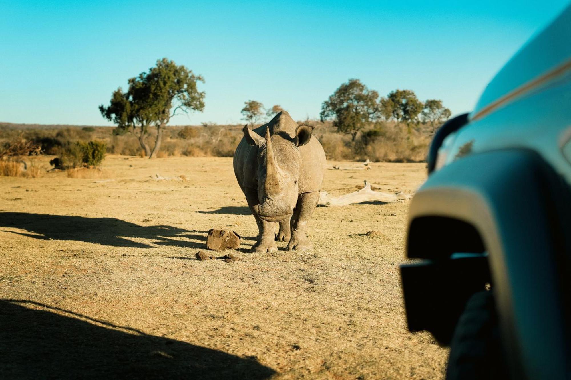 Shibula Safari Lodge Welgevonden Wildreservaat Buitenkant foto